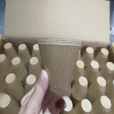 Stageli DIY Elektrische Zündkörper Feuerwerksspiel Papierschalen für elektrische Zündkörper Feuerwerksspiel