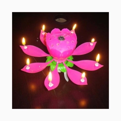 Mehrfarbige Blüten in Form von Feuerwerk Geburtstagskuchen Kerzen Spinning Musical Geburtstagskuchen Kerze